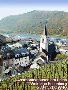 Assmannshausen am Rhein, Weinlage H�llenberg