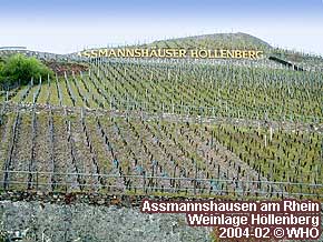 Assmannshausen am Rhein, Weinlage Hllenberg