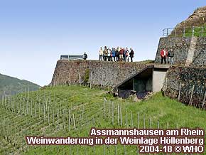 Assmannshausen am Rhein, Weinwanderung in der Weinlage Hllenberg